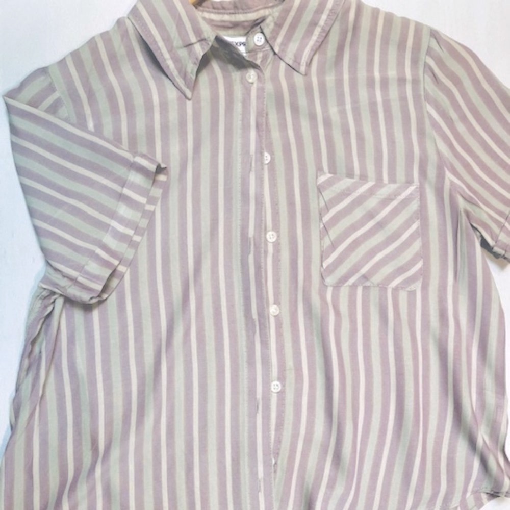 💥3/$30💥EXPRESS Lavender & Grey Stripe Classic Button Down Crop Top